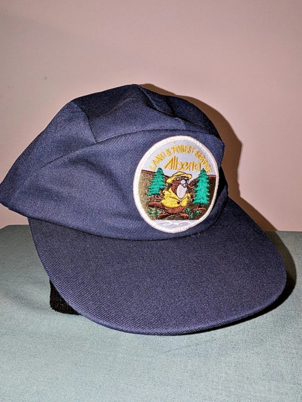Vintage Alberta Land Forest Service Blue Adjustable Camping Nature Wildlife Hat